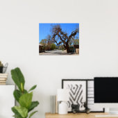 Poster Hanging Tree, Cerrillos, Nouveau-Mexique (Bureau à domicile)