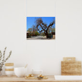 Poster Hanging Tree, Cerrillos, Nouveau-Mexique (Cuisine)