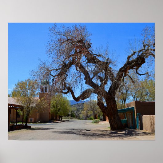 Poster Hanging Tree, Cerrillos, Nouveau-Mexique (Devant)