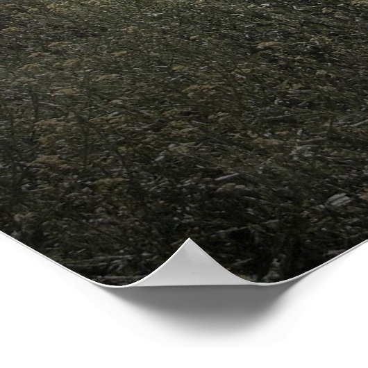 Poster Hantage (Coin)