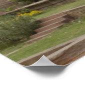 Poster Hanuman Langurs ou noir, commun ou gris (Coin)