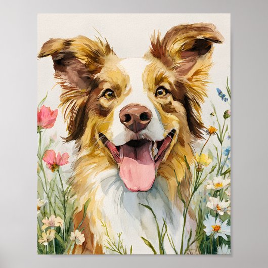 Poster Happy Australian Shepherd in Flowers - Aquarelle (Devant)