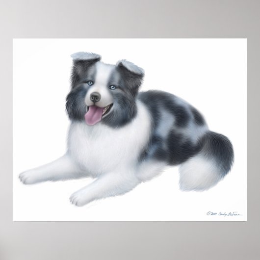 Poster Happy Blue Merle Bordure Collie Chien Imprimer (Devant)