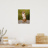Poster Happy Corgi Puppy photo debout (Cuisine)