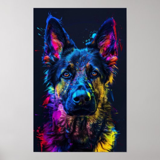Poster Happy Husky Cross avec Shepher Allemand à Haired C (Devant)