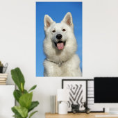 Poster Happy Swiss Shepherd dog (Bureau à domicile)