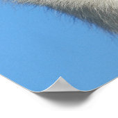 Poster Happy Swiss Shepherd dog (Coin)