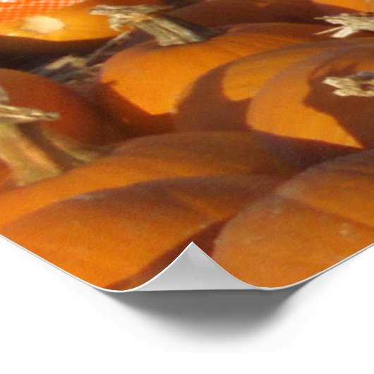 Poster Happy Thanksgiving (Coin)