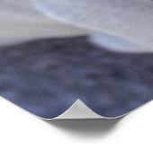 Poster Happy White Bulldog (Coin)