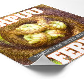 POSTER HAPUU FERNS GRANDE ÎLE HAWAII (Coin)