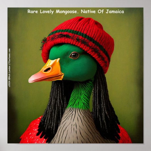 Poster Hararious Jamaïcain Reggae (Devant)