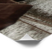 Poster Harbor, boats, (Coin)