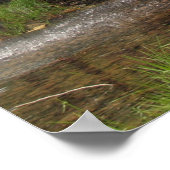 Poster Hardy Mill, Arkansas (Coin)