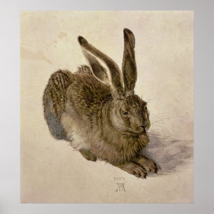 Poster Hare, 1502