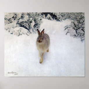 Poster Hare d'hiver (lapin), Bruno Liljefors
