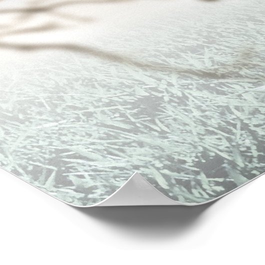 Poster Hares de boxe (Coin)