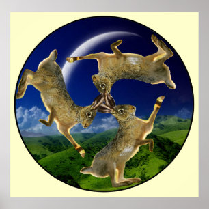 Poster Hares magiques