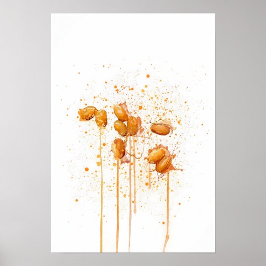 Poster Haricots cuits au four (Devant)