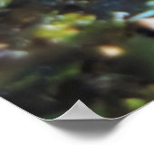 Poster Harlequin Bass (Coin)