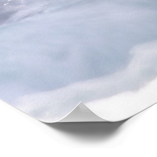 Poster Harlequin Duck (Coin)