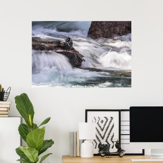 Poster Harlequin Duck (Bureau à domicile)