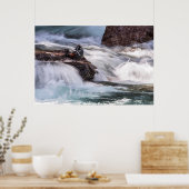 Poster Harlequin Duck (Cuisine)