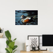 Poster Harlequin Duck (Bureau à domicile)