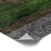 Poster Harley (Coin)