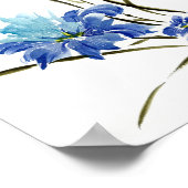 Poster Harmonie d'Iris Bleu (Coin)