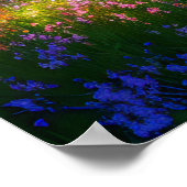 Poster Harmonie majestueuse, Fleur étonnante arc-en-ciel (Coin)