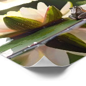 Poster Harmonie sur l'eau : Grenouille et Lys d'eau (Coin)