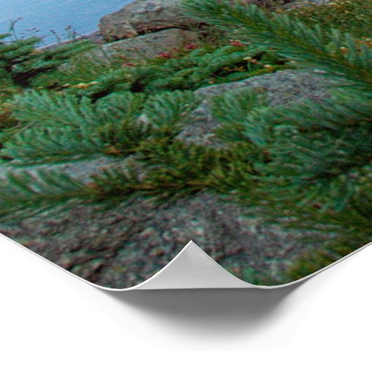 Poster Harmony Lake II (Coin)