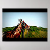 Poster Harness Racing (Devant)