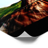 Poster Harness Racing (Coin)