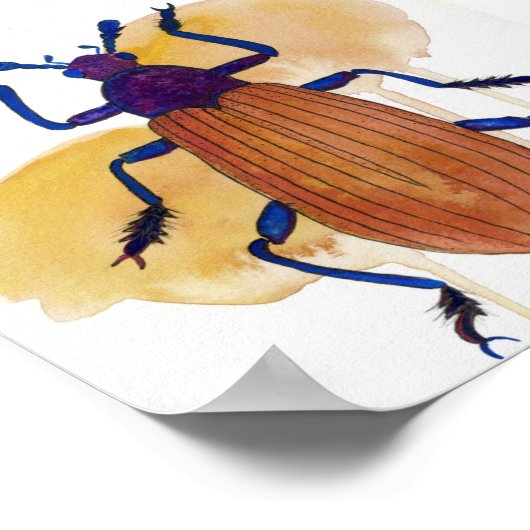 Poster Harntpa Hpnpoabl (Coin)