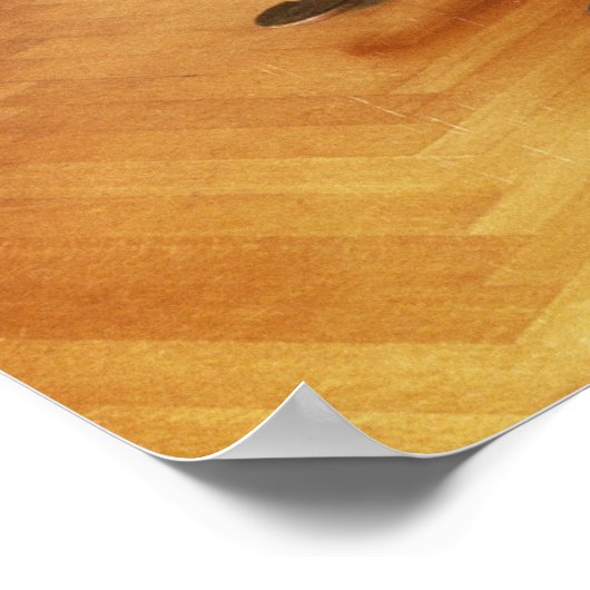 Poster Harpsichord appartenant à Franz Joseph Haydn (Coin)