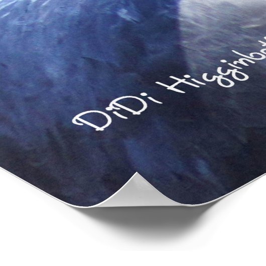 Poster Harpy Eagle (Coin)