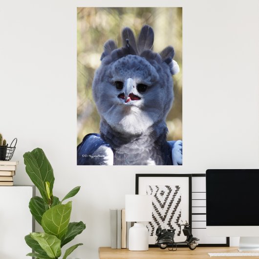Poster Harpy Eagle (Bureau à domicile)