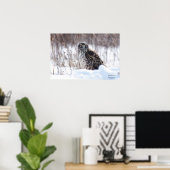 Poster Harrier du Nord (Bureau à domicile)