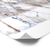 Poster Harrier du Nord (Coin)