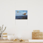 Poster Harrier du Nord et Short=Poster de la Chouette aur (Cuisine)