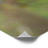 Poster harris hawk (Coin)