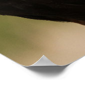 Poster Harris Hawk (Coin)