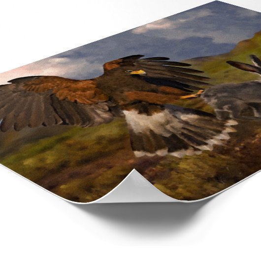 Poster Harris Hawk et Jacklapin (Coin)