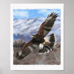 Poster Harris Hawk - pastel