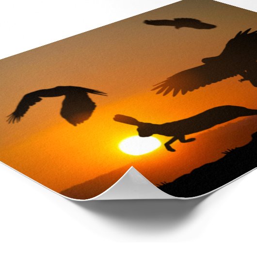 Poster Harris Hawks (Coin)