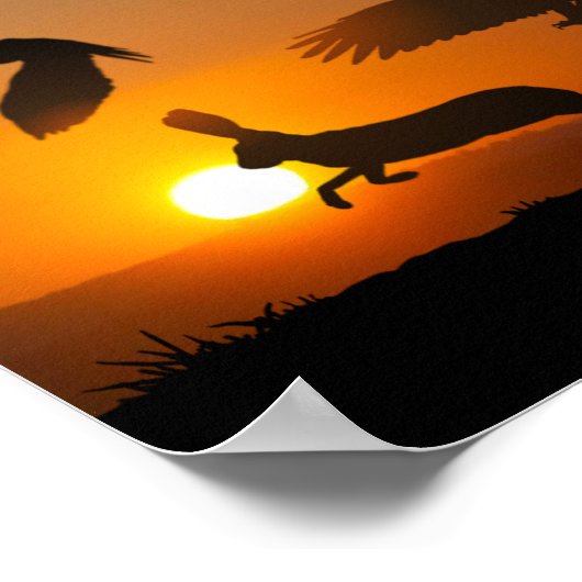 Poster Harris Hawks chasse (Coin)