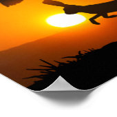 Poster Harris Hawks chasse (Coin)