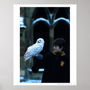 Poster Harry et Hedwig 2