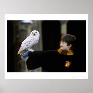 Poster Harry et Hedwig 3